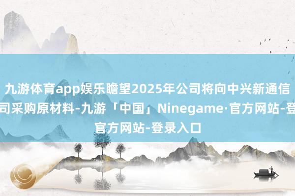 九游体育app娱乐瞻望2025年公司将向中兴新通信有限公司采购原材料-九游「中国」Ninegame·官方网站-登录入口