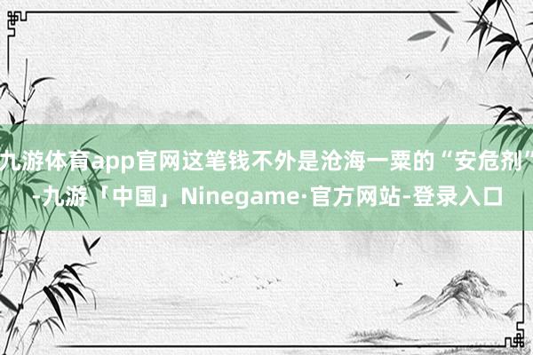 九游体育app官网这笔钱不外是沧海一粟的“安危剂”-九游「中国」Ninegame·官方网站-登录入口