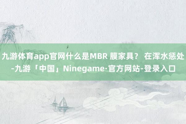 九游体育app官网什么是MBR 膜家具? 在浑水惩处-九游「中国」Ninegame·官方网站-登录入口