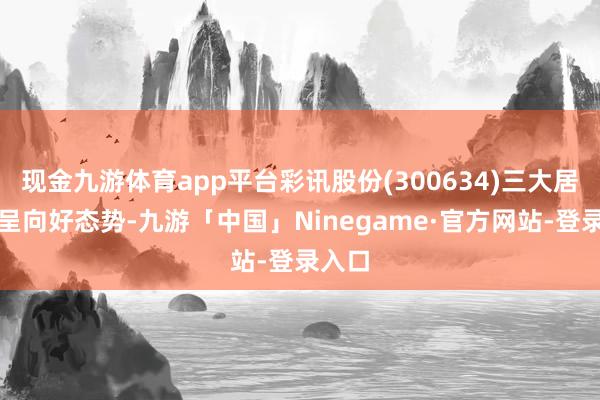 现金九游体育app平台彩讯股份(300634)三大居品线呈向好态势-九游「中国」Ninegame·官方网站-登录入口